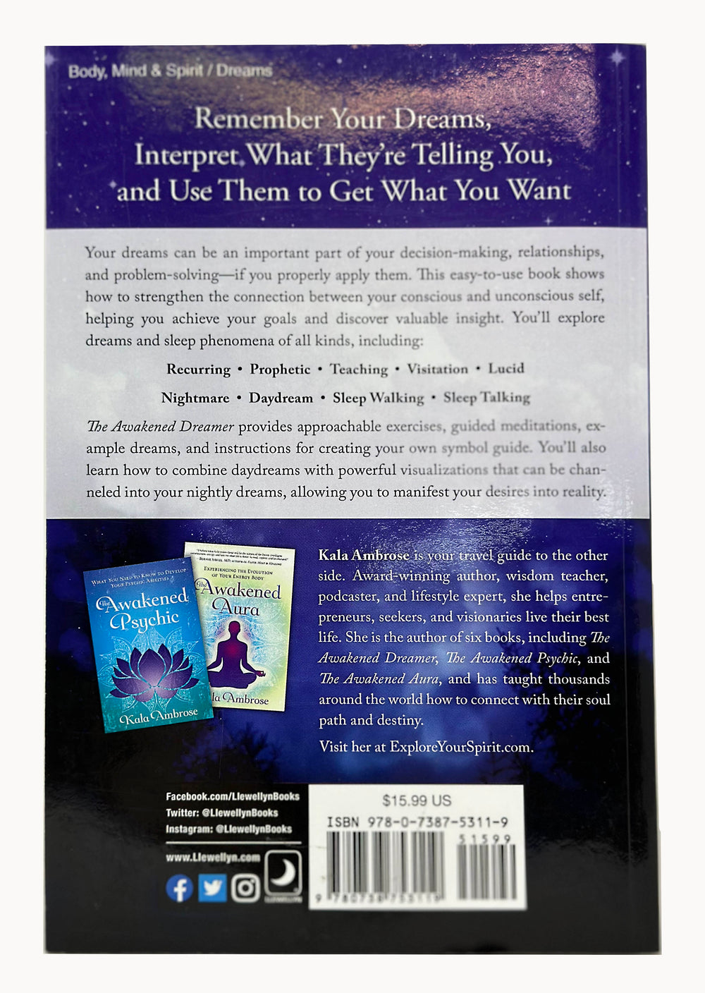 The Awakened Dreamer – Artists of Elements